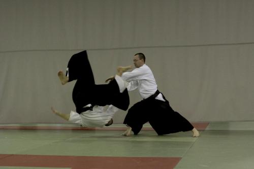 aikido szeltner 100 másolata