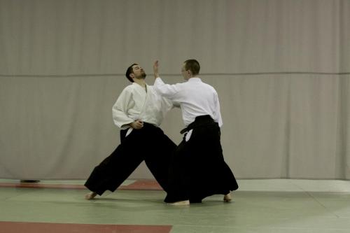 aikido szeltner 124 másolata