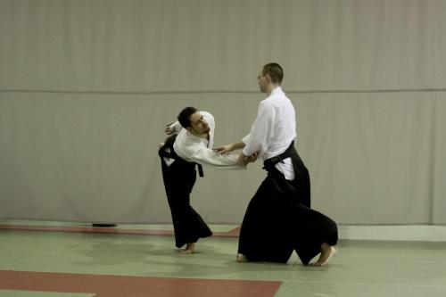 aikido szeltner 138 másolata